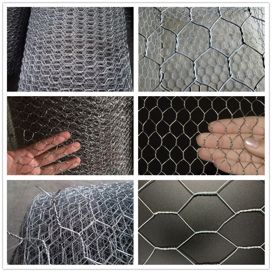 Hexagonal Mesh: A Stable Structure and Ecological Protection Net with Natural Integration