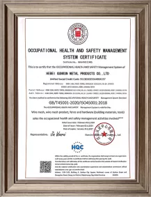 ISO450012018 