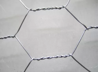 Hexagonal Wire Mesh