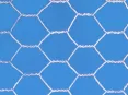 Hexagonal Wire Mesh