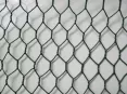 Hexagonal Wire Mesh