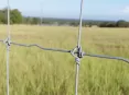 Fixed Knot Deer Fence