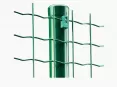 Holland Wire Mesh