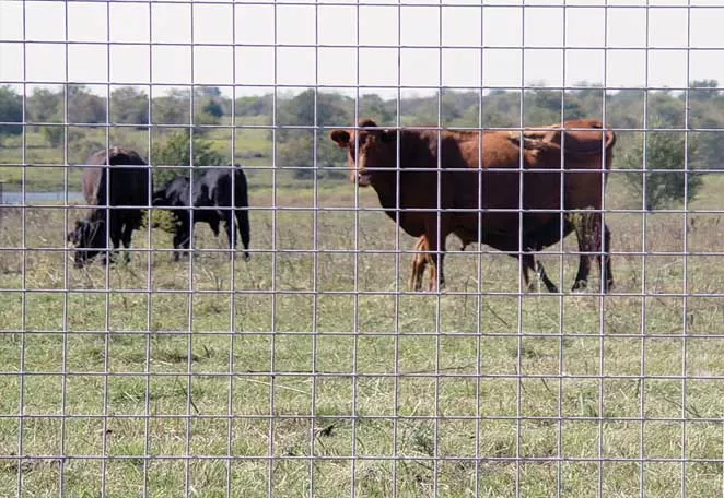 farm fence