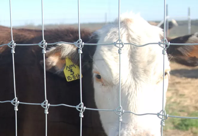 farm fence panel systems